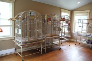© COPYRIGHT 2014 Eddie'sAviary Large, clean and airy cages house one pair each 