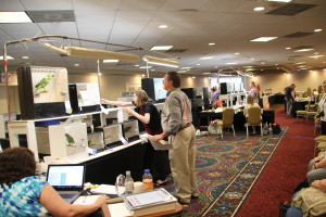 View of the Exhibition Hall at the Radisson during the AFA convention in August 2016. © COPYRIGHT 2016 Eddie's Aviary 