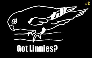 Got Linnies? Outline Decal © COPYRIGHT 2015 Eddie's Aviary