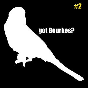 got Bourkes? Silhouette Decal © COPYRIGHT 2015 Eddie's Aviary