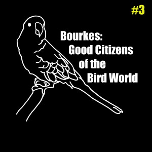 Bourkes: Good Citizen Outline Decal © COPYRIGHT 2015 Eddie's Aviary