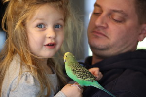 Elena just turned 3 and she loves birds! I see a budding aviculturist. © COPYRIGHT 2016 Eddie's Aviary