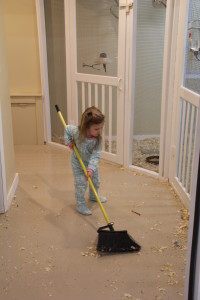 Elena loves to help her mum clean the aviary. © COPYRIGHT 2016 Eddie's Aviary